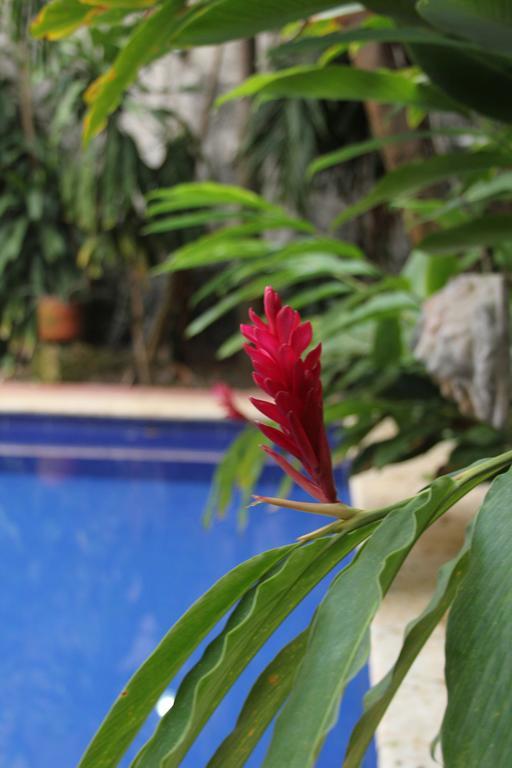 Casa Del Tejadillo 호텔 Cartagena 외부 사진
