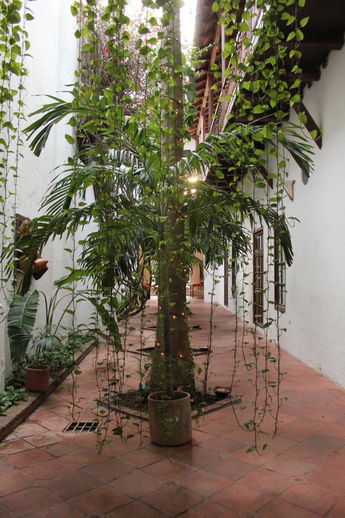 Casa Del Tejadillo 호텔 Cartagena 외부 사진