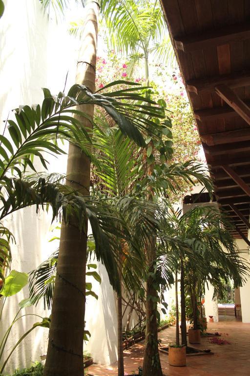 Casa Del Tejadillo 호텔 Cartagena 외부 사진